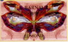 Barnaut1999.jpg (20033 octets)